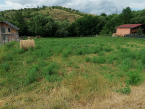 Persona fizica vand teren intravilan pt. casa, TVA nu trebuie platita.