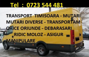 Mutari mobila bagaje transport mobila marfa Timisoara Ridic moloz Debarasari apartamente